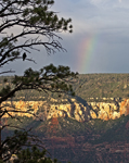 Grand Canyon Rainbow